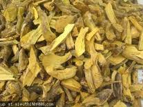 20 bài thuốc chữa đau lưng