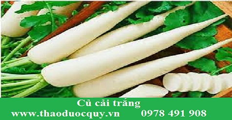 Tác dụng của Củ cải trắng