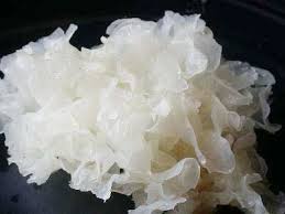 Các bài thuốc từ mộc nhĩ trắng