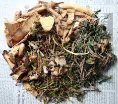 Một số bài thuốc nam sơ cứu ngộ độc cá nóc