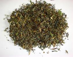 Một số bài thuốc từ sen