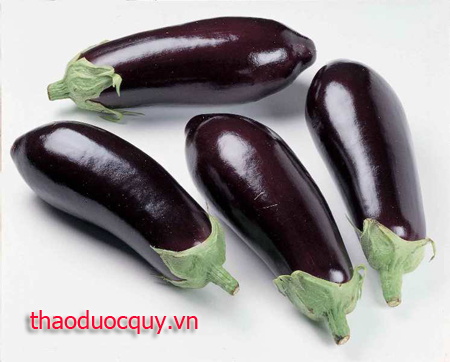 Cà Dái Dê
