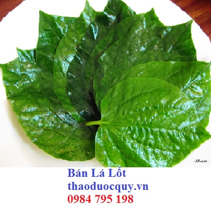 Ane klua tao