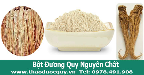Bột đương quy nguy&ecirc;n chất