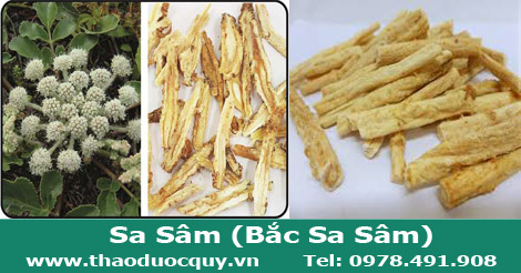 Sa s&acirc;m