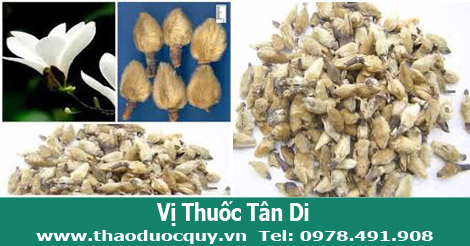 Vị thuốc tân di