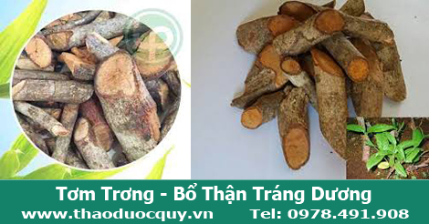 Tơm trơng, bổ thận tráng dương