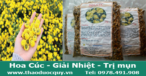 trà hoa kim cúc