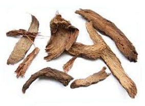 thi&ecirc;n-ni&ecirc;n-kiện-kh&ocirc;